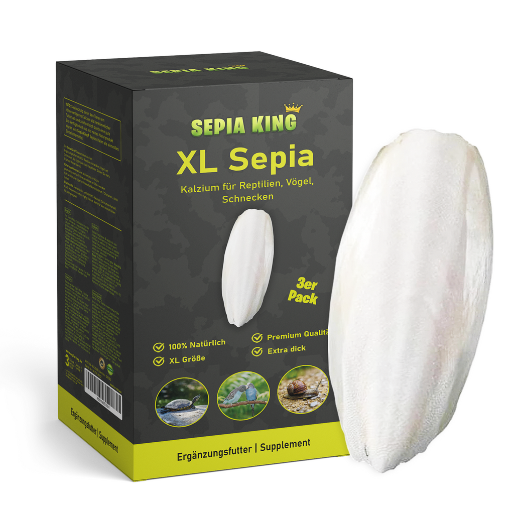 Sepia-King® XL Premium Sepiaschalen - 3er Pack - Extra dick