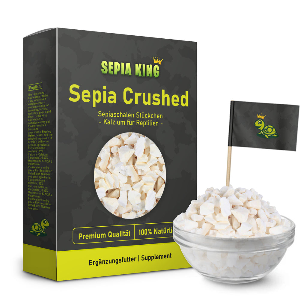 Sepia-King® Sepiaschalen Bruch in Premium Qualität - 100% Natürlich