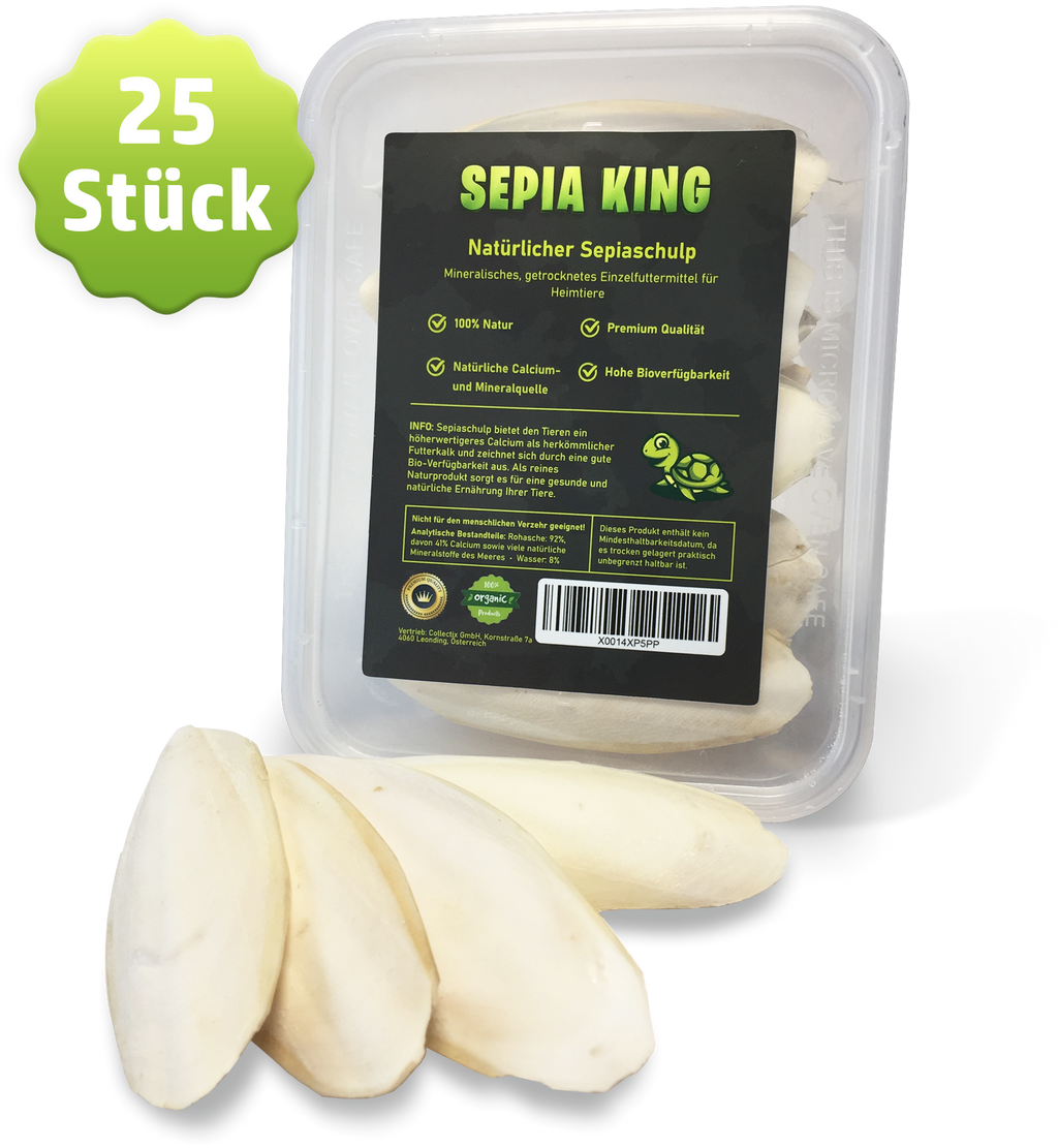 Sepia-King® Box 25 Sepiaschalen, Größe: 8-12cm | stabile Aufbewahrungsbox