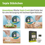 Sepia-King® Sepiaschalen Bruch in Premium Qualität - 100% Natürlich