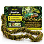 Moos Liane 300 cm – Biegsame Kletterliane fürs Terrarium