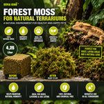 Terrarium Moos 4,25 Liter – Naturmoos für Reptilien & Amphibien