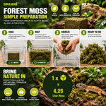 Terrarium Moos 4,25 Liter – Naturmoos für Reptilien & Amphibien