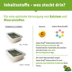 Sepia-King® Box 25 Sepiaschalen, Größe: 7-9cm | stabile Aufbewahrungsbox