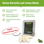 Sepia-King® Box 25 Sepiaschalen, Größe: 7-9cm | stabile Aufbewahrungsbox