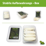 Sepia-King® XL Box | 250g 10-17cm Sepiaschalen stabile Aufbewahrungsbox