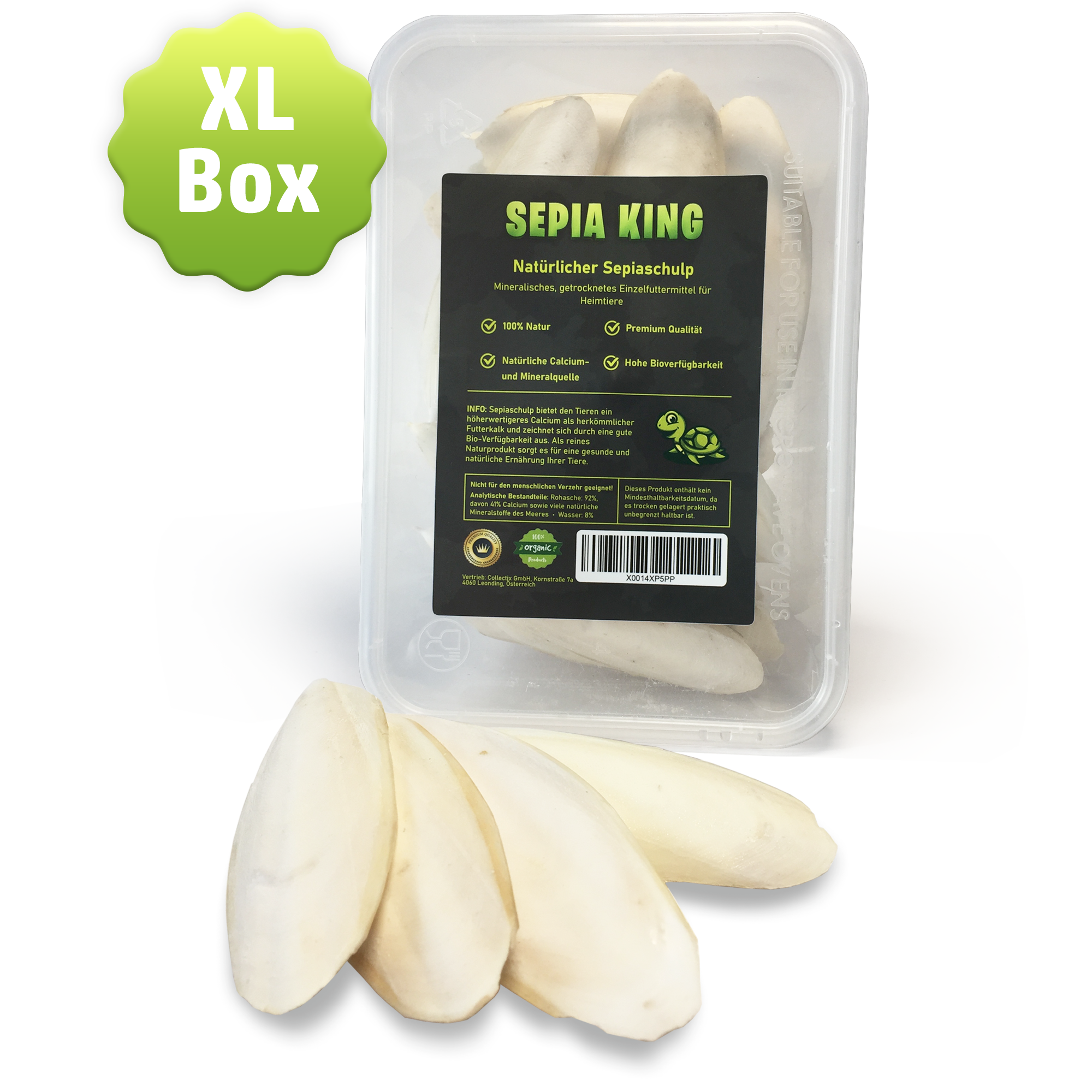 Sepia-King® XL Box | 250g 10-17cm Sepiaschalen stabile Aufbewahrungsbox